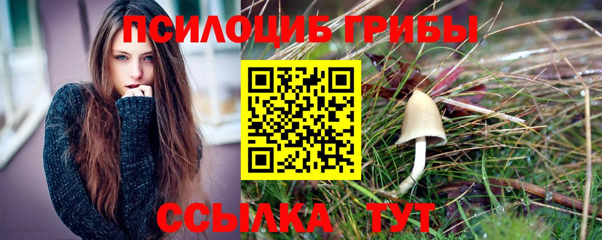 Псилоцибиновые грибы прущие грибы Кинешма