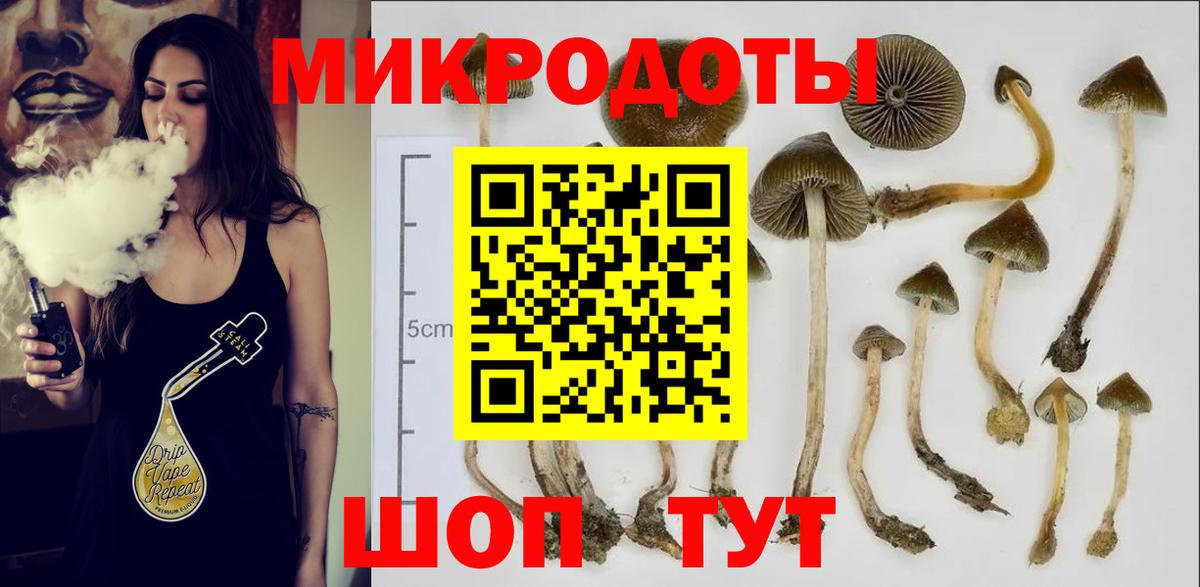 Псилоцибиновые грибы ЛСД  Псилоцибиновые грибы GOLDEN TEACHER  Вход с VPN  Кинешма 